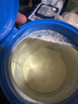 貝拉米（Bellamy's）白金版2段較大嬰兒奶粉800g 6~12月 有機(jī)A2蛋白 澳洲原裝進(jìn)口 曬單實(shí)拍圖
