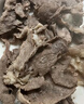 鮮京采 國(guó)產(chǎn)原切牛肉卷400g*3 生鮮牛肉 火鍋食材 牛肉片 京東自有品牌 曬單實(shí)拍圖