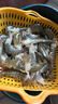 鮮活大海白蝦300g（約12-18只） 曬單實(shí)拍圖