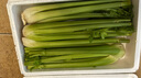【瘦身減脂】山東大西芹水果西芹去葉新鮮蔬菜新鮮榨汁 帶箱：5斤 曬單實(shí)拍圖