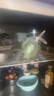 卡帝仕【已補貼15%】商用冰箱四門(mén)冰箱商用六門(mén)保鮮柜餐飲酒店廚房冰箱冷藏冷凍四門(mén)冰柜商用冰箱大容量 豪華款加大四門(mén)上冷藏下冷凍【銅管制冷】 曬單實(shí)拍圖