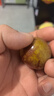 京鮮生 串收櫻桃番茄散串禮盒1.5kg現(xiàn)摘現(xiàn)發(fā)西紅柿源頭直發(fā)包郵 曬單實(shí)拍圖