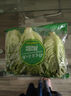 【高原夏菜】鐘靈山羅馬生菜400g 曬單實(shí)拍圖