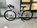 喜德盛公路自行車2025款A(yù)D300油碟UCI車架2x10速中空一體牙盤桶軸破風(fēng)車 白蛇 480mm 曬單實(shí)拍圖