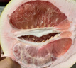 元珍鮮誠福建琯溪紅心蜜柚當季新鮮送禮現摘柚子 新鮮整箱水果 5斤裝（凈果4.5斤）約2個(gè)裝 曬單實(shí)拍圖