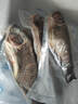 翔泰海南三去羅非魚/海南鯛1400g/共4條免處理 生鮮魚類 海鮮水產(chǎn)  曬單實(shí)拍圖
