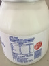 蘭格格 草原烏日莫奶皮子酸奶(560g+60g)*1桶生鮮低溫酸牛奶 老酸奶大桶 曬單實(shí)拍圖