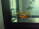 閩江（minjiang）魚缸水族箱免換水生態(tài)造景金魚缸客廳屏風(fēng)中大型玻璃龍魚缸金魚缸 黑色（禮包+升級過濾） 長100*寬30*高142（缸體+儲物柜） 曬單實拍圖