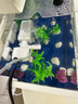 最萌魚(yú)缸水族箱客廳帶蓋透明家用小型生態(tài)創(chuàng  )意造景辦公室桌面缸金魚(yú)缸 30.5*18.5*18.5【套餐三】 曬單實(shí)拍圖