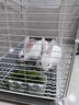 蔻絲兔子專用籠子帶廁所家用室內(nèi)養(yǎng)寵物兔荷蘭豬豚鼠專用兔籠子兔別墅 【經(jīng)典款中號(hào)】72*36*42（窩廁分離/干凈衛(wèi)生） 【基礎(chǔ)款】兔籠+加密腳墊+接糞托盤 曬單實(shí)拍圖