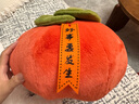 范爺家柿子抱枕毛絨玩具創(chuàng)意腰靠墊柿柿如意生日禮物七夕送男女朋友老師 曬單實拍圖