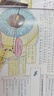 神奇校車圖畫書版全12冊(cè)小學(xué)生兒童百科全書繪本科普百科漫畫書3-6-12歲兒童小學(xué)生科學(xué)繪本故事書神奇的校車一年級(jí)注音版 神奇校車圖畫書版全12冊(cè) 曬單實(shí)拍圖