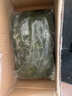 鮮海帶 鹽漬海帶絲 海帶涼拌菜鮮嫩 鹽漬海帶絲2.5kg 曬單實拍圖