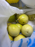 京鮮生 海南欽蜜9號黃金百香果3斤凈重70-90g/15-21個 生鮮水果源頭直發(fā) 曬單實(shí)拍圖