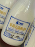 蘭格格草原酸奶 草原活菌酸奶210g*12瓶 低溫酸牛奶 源頭直發(fā) 曬單實拍圖
