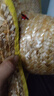 勞保草帽麥稈編織防曬遮陽(yáng)農用工地露天遮陽(yáng)帽釣魚(yú)沙灘大號通用型 50厘米包邊一頂【送可調節帽帶】 成人通用型 曬單實(shí)拍圖