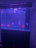 森森（SUNSUN）大型魚缸底過濾水族箱客廳家用落地玻璃生態(tài)金魚缸 超白款升級底濾 0.8米長35cm寬（黑白可選） 曬單實拍圖