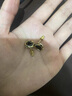 伊燦氣質(zhì)名媛黑色鋯石三角耳釘女個(gè)性高級(jí)感2025新款爆款輕奢小眾耳飾 黑色三角形耳釘 曬單實(shí)拍圖