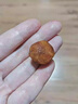 iosn新疆特產(chǎn)樹(shù)上吊干杏死杏干酸甜杏肉干非杏脯真空袋裝即食休閑零食 一級吊干杏500克【新疆直發(fā)】 曬單實(shí)拍圖