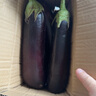 山東新鮮綠把紫皮長茄現(xiàn)摘現(xiàn)發(fā)新鮮嫩茄新鮮時令蔬菜生鮮 新鮮綠把紫茄 2斤 帶箱 曬單實拍圖