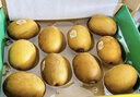 佳沛（zespri）新西蘭 陽(yáng)光金奇異果12粒禮盒特大果單果約122-146g 獼猴桃 水果 曬單實(shí)拍圖