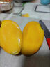 海南小臺(tái)農(nóng)芒果9斤小臺(tái)芒當(dāng)季熱帶新鮮水果現(xiàn)摘甜心小芒果整箱 9斤 【小果】試吃嘗鮮 曬單實(shí)拍圖