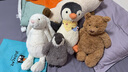 Jellycat害羞乳白色邦尼兔動(dòng)物毛絨玩偶安撫玩偶娃娃教師節(jié)生日禮物 乳白色 Large 曬單實(shí)拍圖