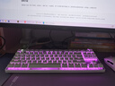華碩全家桶RTX 5060 Ti/5060主機14600KF組裝電腦主機電競游戲主機5070全套臺式機DIY整機白色海景房 14400F+華碩RTX 5060 性?xún)r(jià)比 曬單實(shí)拍圖