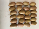 三萌果蔬正宗綠心獼猴桃奇異果新鮮當(dāng)季水果南陽湘西米糧一號酸甜孕婦送禮 5斤 甄選果【單果90-120g】凈4.5斤 曬單實拍圖