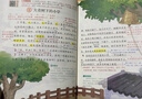 2025斗半匠課堂筆記三年級(jí)上冊(cè)語(yǔ)文數(shù)學(xué)英語(yǔ)人教版同步教材隨堂筆記小學(xué)生教材全解課前預(yù)習(xí)教材（3冊(cè)） 曬單實(shí)拍圖