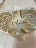 南步云南西雙版納傣柚 老樹(shù)青皮白心翡翠蜜柚東試早柚子泰柚新鮮水果 4-5枚裝 精選中果【約8-8.5斤】 曬單實(shí)拍圖