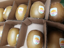 佳沛（zespri）新西蘭陽(yáng)光金果10個(gè)裝單果重約85-103g 水果 獼猴桃 源頭直發(fā) 曬單實(shí)拍圖
