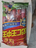 雙匯 王中王火腿腸 無淀粉火腿腸40g*10支 香腸 休閑零食 露營燒烤款 曬單實拍圖
