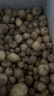 四川農(nóng)家自種現(xiàn)挖現(xiàn)發(fā)新鮮團(tuán)蔥小洋蔥頭苦茭頭苦藠蒜薤白食用 500g 曬單實拍圖