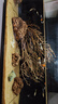 米家（MIJIA）小米米家智能生態(tài)魚(yú)缸+畫(huà)法幾何配套加熱棒 曬單實(shí)拍圖