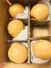 果益壽山東秋月梨【商超精品】當季新鮮脆甜冰糖梨子水果中秋送禮 5斤丨超值裝 單果250g+凈重4.5斤 曬單實(shí)拍圖