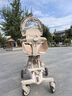 suzzt嬰兒車0-3歲用折疊可轉(zhuǎn)向遛娃神器輕便折疊雙向嬰兒推車 紳士咖【帶遮陽棚坐墊厎兜】 曬單實拍圖