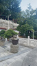 猛瑪LARK A1無(wú)線(xiàn)領(lǐng)夾麥克風(fēng) 手機直播收音麥MOMA猛犸a1話(huà)筒智能降噪多巴胺mini新手采訪(fǎng)拍攝錄音收音器 曬單實(shí)拍圖