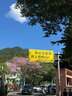 海爾（Haier）滾筒洗衣機(jī)全自動(dòng)10公斤MATE29S相似款一級(jí)能效懶人超薄家用大容量MAX29S家電國(guó)家補(bǔ)貼20%以舊換新 行業(yè)銷(xiāo)冠丨熱銷(xiāo)百萬(wàn)丨原創(chuàng)沖浪洗 曬單實(shí)拍圖
