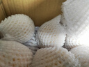 京鮮生 云南人參果 凈重5斤 單果100g+ 生鮮水果源頭直發(fā)包郵  曬單實(shí)拍圖