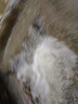 嬰芽（YINGYA）愛(ài)芽拉拉褲5XL碼2包64片【21-23kg】嬰兒超薄干爽尿不濕透氣尿褲 曬單實(shí)拍圖