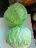 包菜新鮮卷心菜大頭菜農(nóng)戶自種當(dāng)季綠葉蔬菜綠甘藍(lán) 綠甘藍(lán) 3斤 曬單實拍圖