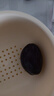庾豐當(dāng)季新鮮現(xiàn)摘脆紅李 新鮮水果整箱 孕婦脫骨青紅李子 團(tuán)購送禮 5斤裝（凈果4.5斤）甄選果 顆顆甄選 產(chǎn)地直發(fā) 曬單實拍圖