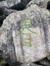 小熊（Bear）電煮鍋 小電鍋 電蒸鍋 電火鍋 電熱鍋分體式學(xué)生宿舍多功能鍋蒸煮煎炒鍋泡面鍋配蒸籠 2.5L D25D1 曬單實(shí)拍圖