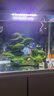 天寶魚缸帶柜子客廳家用中小型懶人免換水玻璃金魚缸整套水族箱帶氧氣 520標(biāo)配+柜子+大禮包 曬單實(shí)拍圖