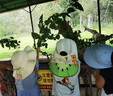 卡爾美（KELME）兒童防曬帽遮陽帽子夏季防紫外線男女童披風(fēng)大帽檐海邊沙灘太陽帽 曬單實(shí)拍圖
