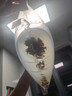 活體飼料魚(yú)麥穗魚(yú)小魚(yú)苗喂龍魚(yú)羅漢鱷龜開(kāi)口飼料魚(yú)淡水魚(yú)活魚(yú)包活 飼料魚(yú)1-2厘米100條送10%防損 曬單實(shí)拍圖