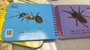 陽(yáng)光寶貝寶寶啟蒙早教書(shū)繪本撕不爛翻翻樂(lè )大卡全4冊動(dòng)物世界交通水果蔬菜0-3歲看圖識物認知益智嬰幼 曬單實(shí)拍圖