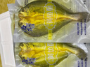 海岸浦  黃魚(yú)鲞  開(kāi)背鮮美醇香 多規格 鮮美深海開(kāi)背黃魚(yú)鲞250g*5條 曬單實(shí)拍圖