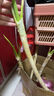 農家自種精品山東大蔥特級新鮮鐵桿長(cháng)白蔥農家毛蔥香蔥現挖便宜 山東大蔥（帶老皮）帶箱 1斤 曬單實(shí)拍圖